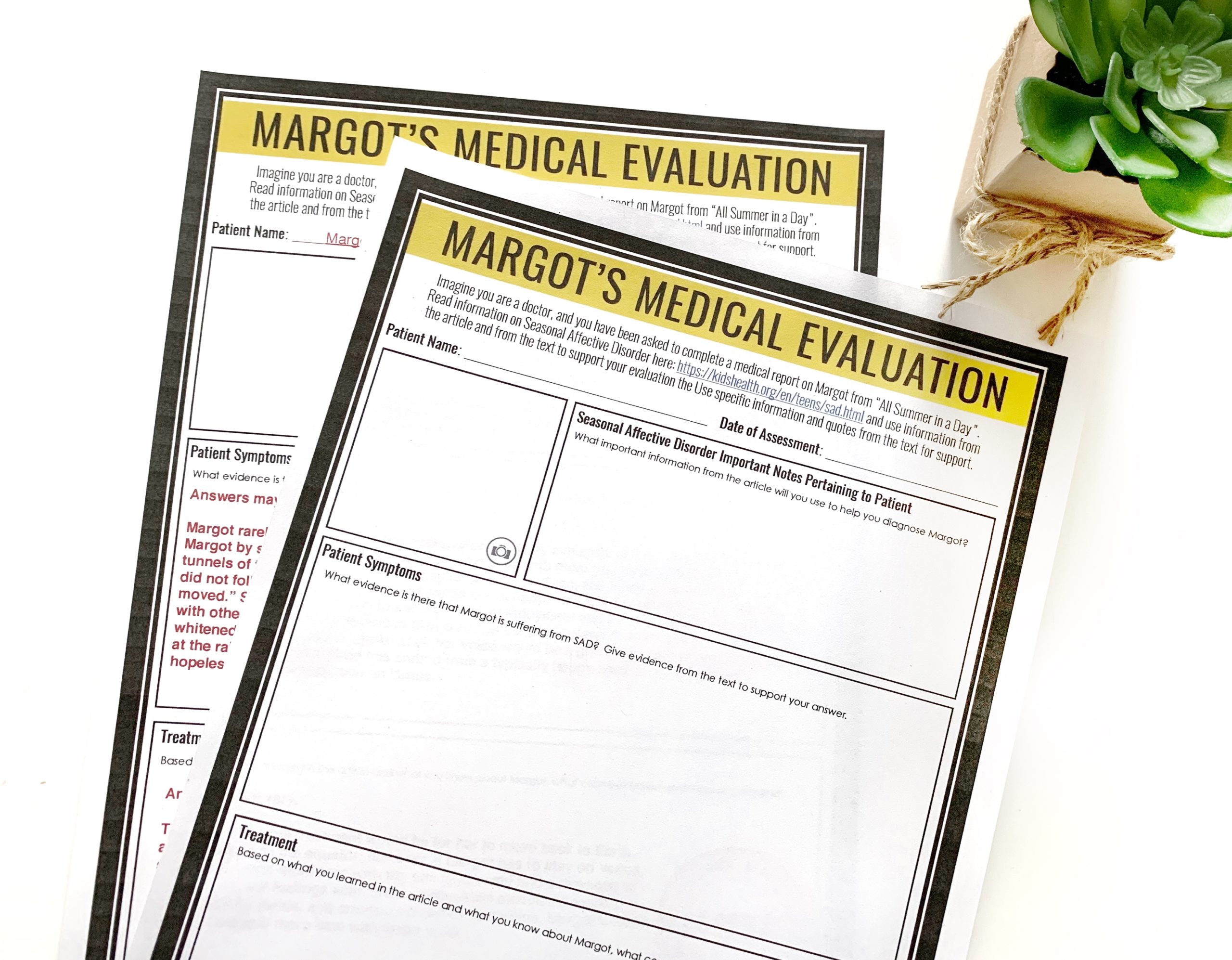 Margots Medical Evaluation for All Summer in a Day